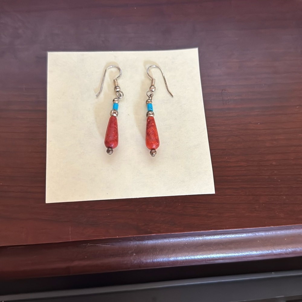 Native American earrings